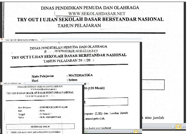 Detail Contoh Soal Try Out Bahasa Indonesia Kelas 6 2019 Nomer 11