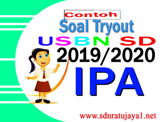 Detail Contoh Soal Try Out Bahasa Indonesia Kelas 6 2019 Nomer 30