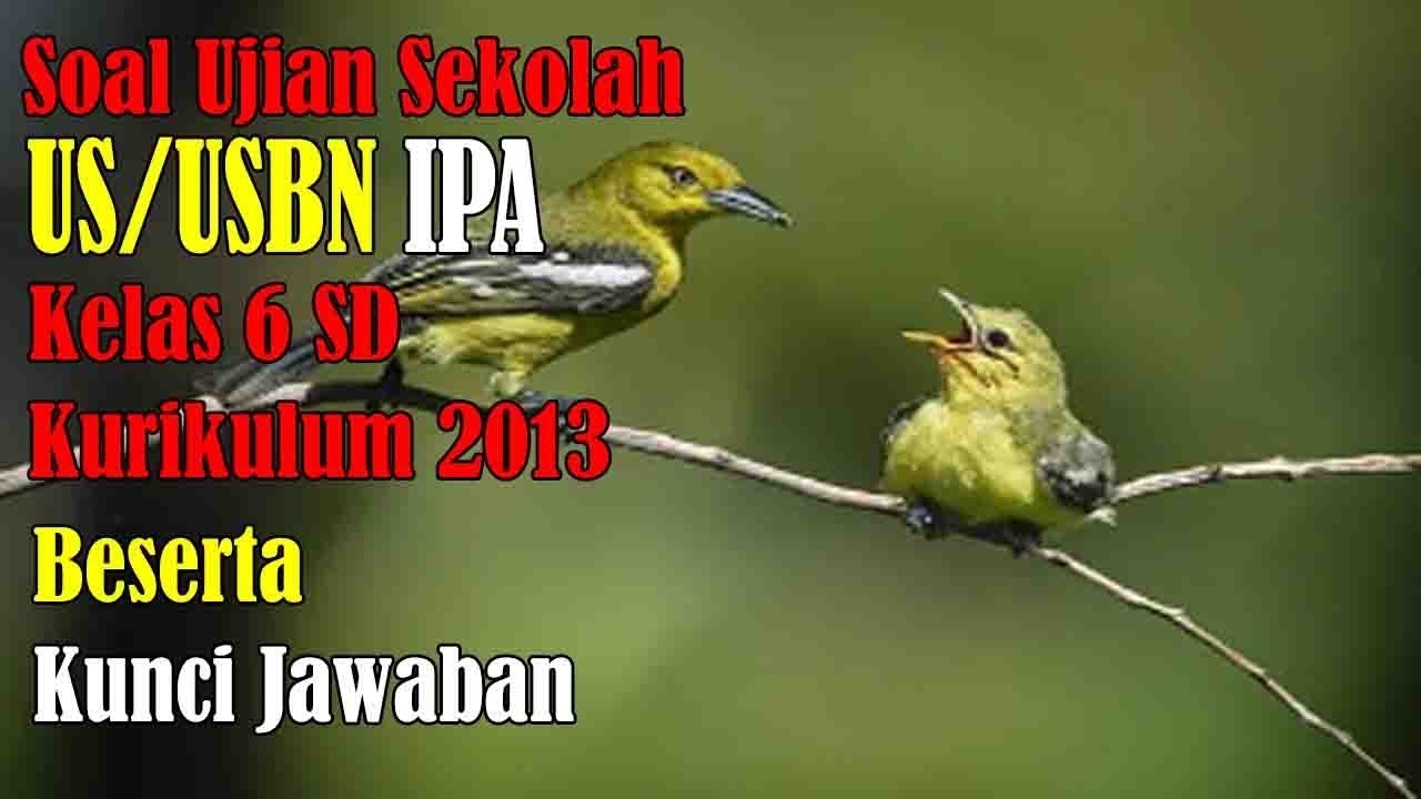 Detail Contoh Soal Ujian Penyesuaian S1 Dan Kunci Jawabanya Nomer 40