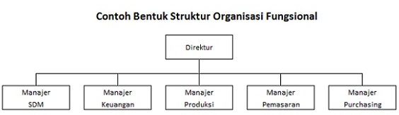 Detail Contoh Struktur Organisasi Fungsional Nomer 3