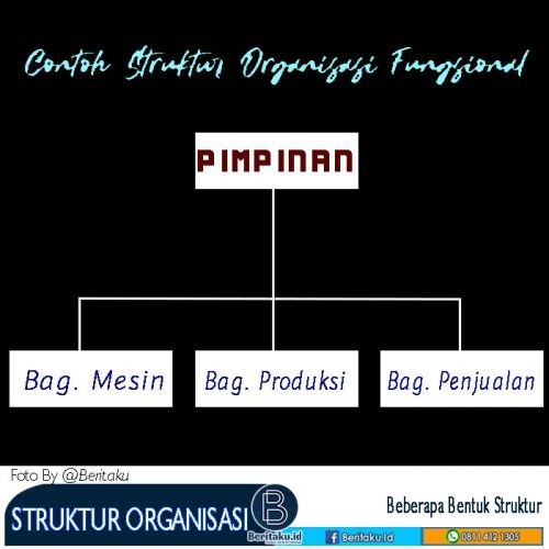 Detail Contoh Struktur Organisasi Fungsional Nomer 12