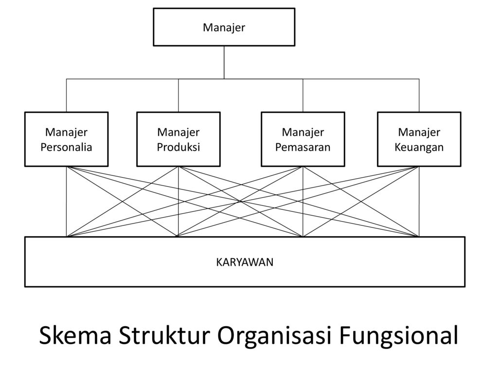 Detail Contoh Struktur Organisasi Fungsional Nomer 16