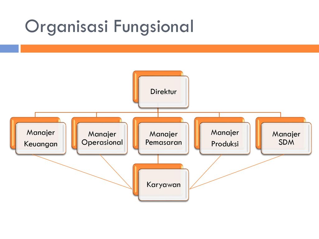 Detail Contoh Struktur Organisasi Fungsional Nomer 19