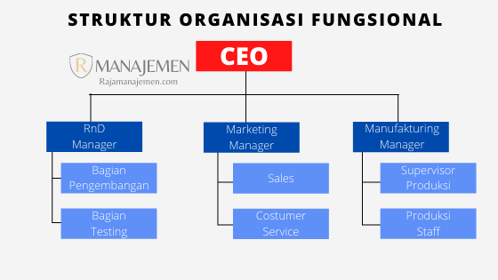 Detail Contoh Struktur Organisasi Fungsional Nomer 20