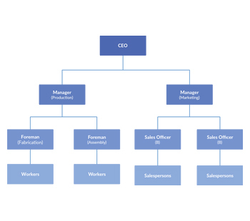 Detail Contoh Struktur Organisasi Fungsional Nomer 24