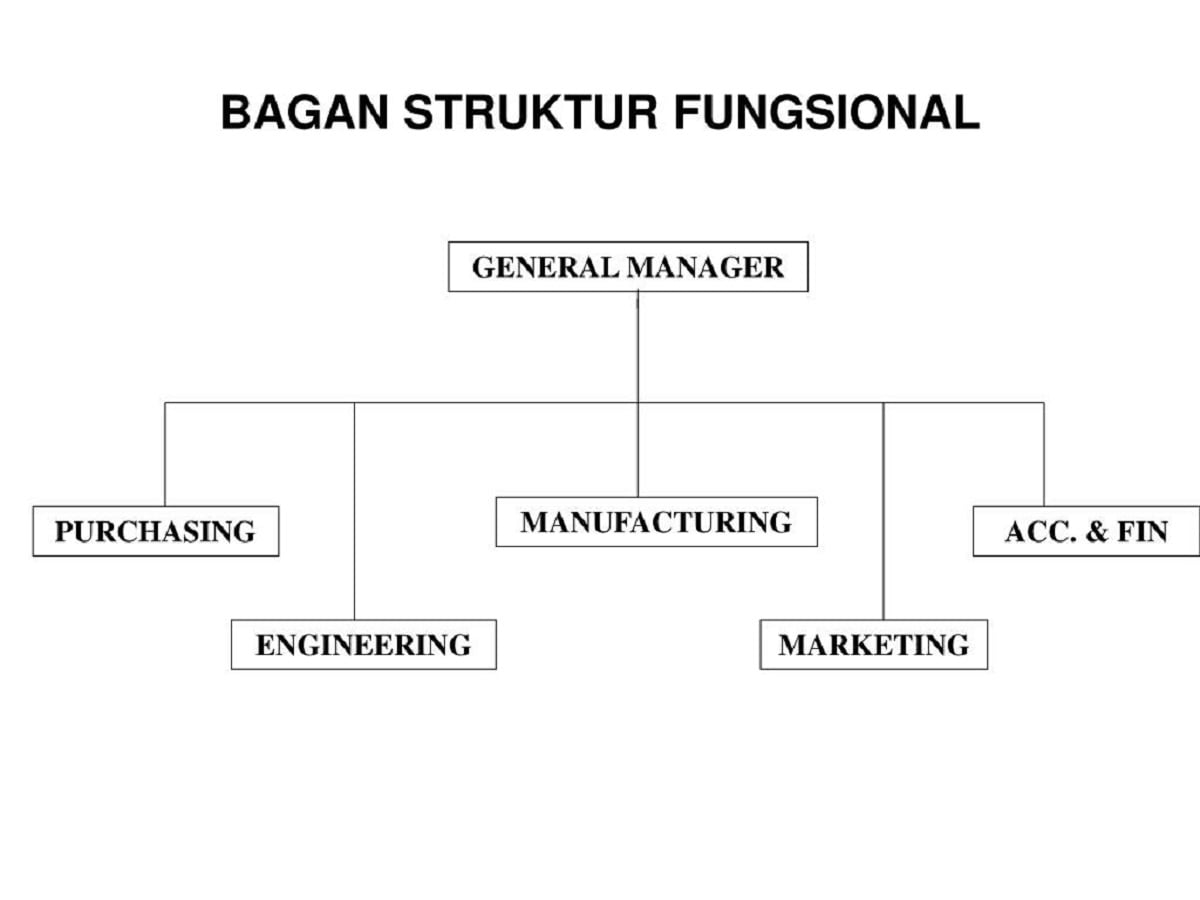 Detail Contoh Struktur Organisasi Fungsional Nomer 29