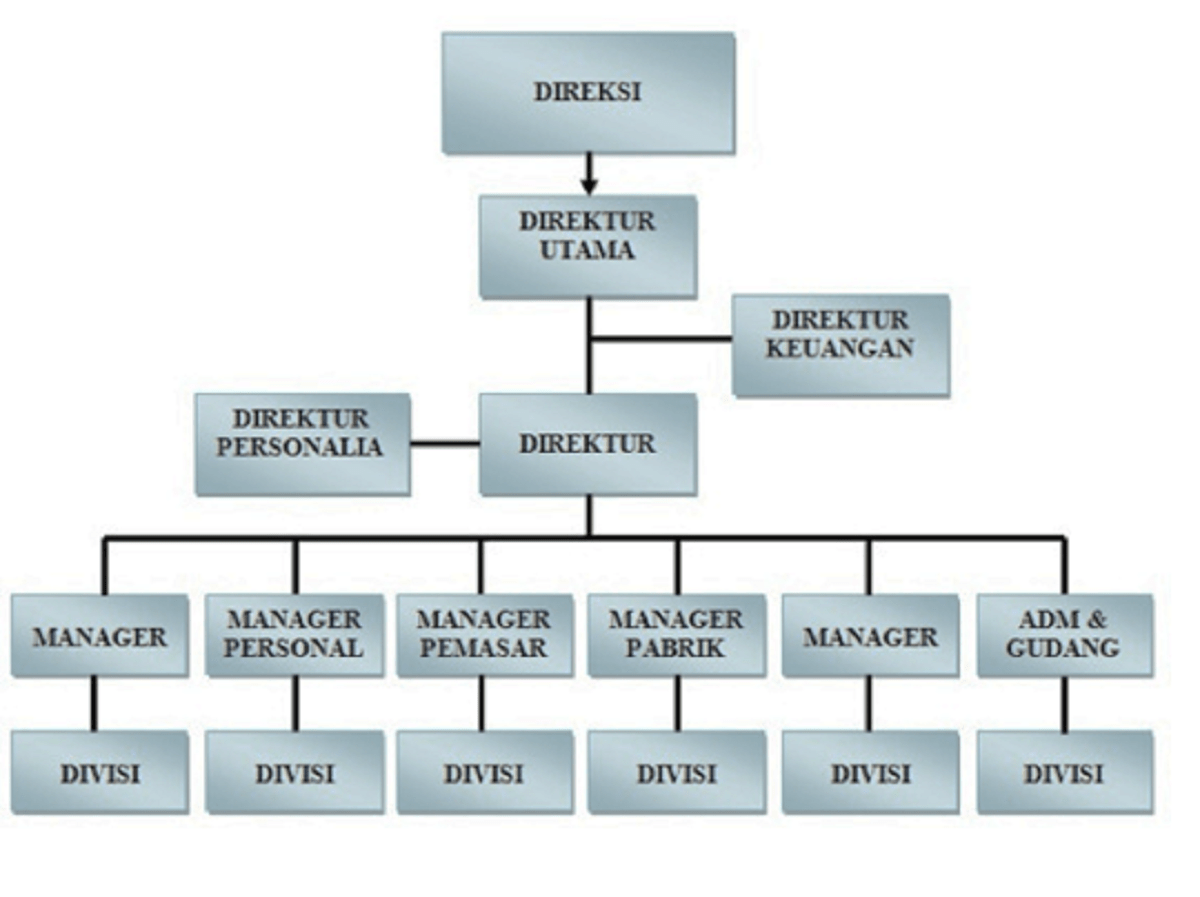 Detail Contoh Struktur Organisasi Fungsional Nomer 5