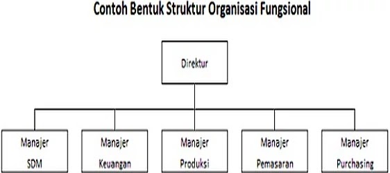 Detail Contoh Struktur Organisasi Fungsional Nomer 7