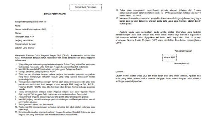 Detail Contoh Surat Pernyataan Untuk Pendaftaran Cpns Nomer 3