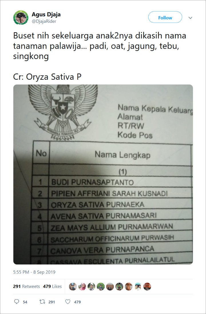 Detail Contoh Tanaman Palawija Beserta Nama Latinnya Nomer 28