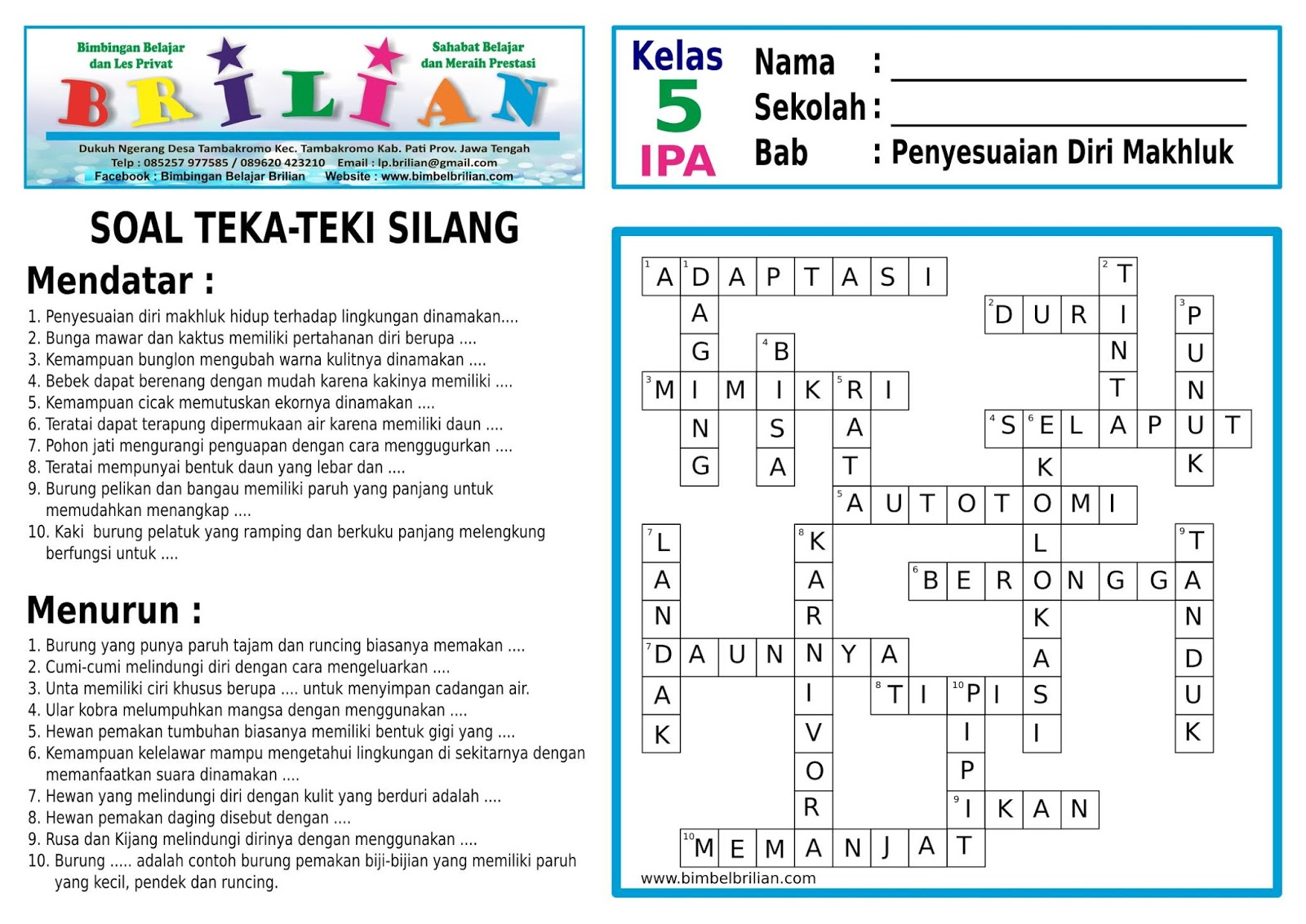 Detail Contoh Teka Teki Silang 5 Mendatar 5 Menurun Bahasa Indonesia Nomer 3