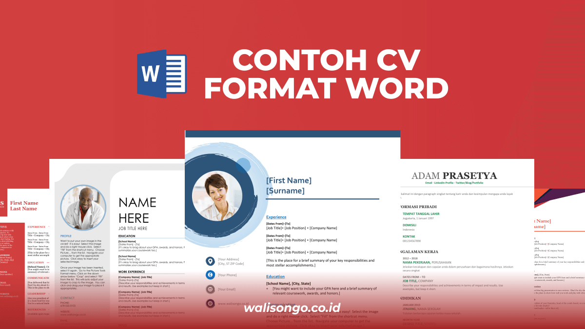 Detail Contoh Template Cv Nomer 47