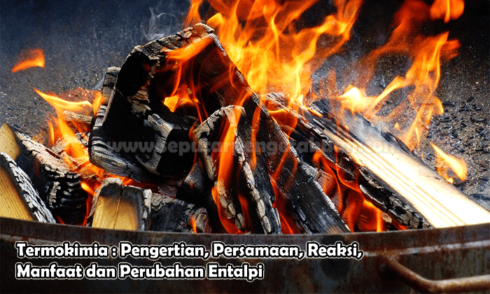 Detail Contoh Termokimia Dalam Kehidupan Sehari Hari Nomer 34