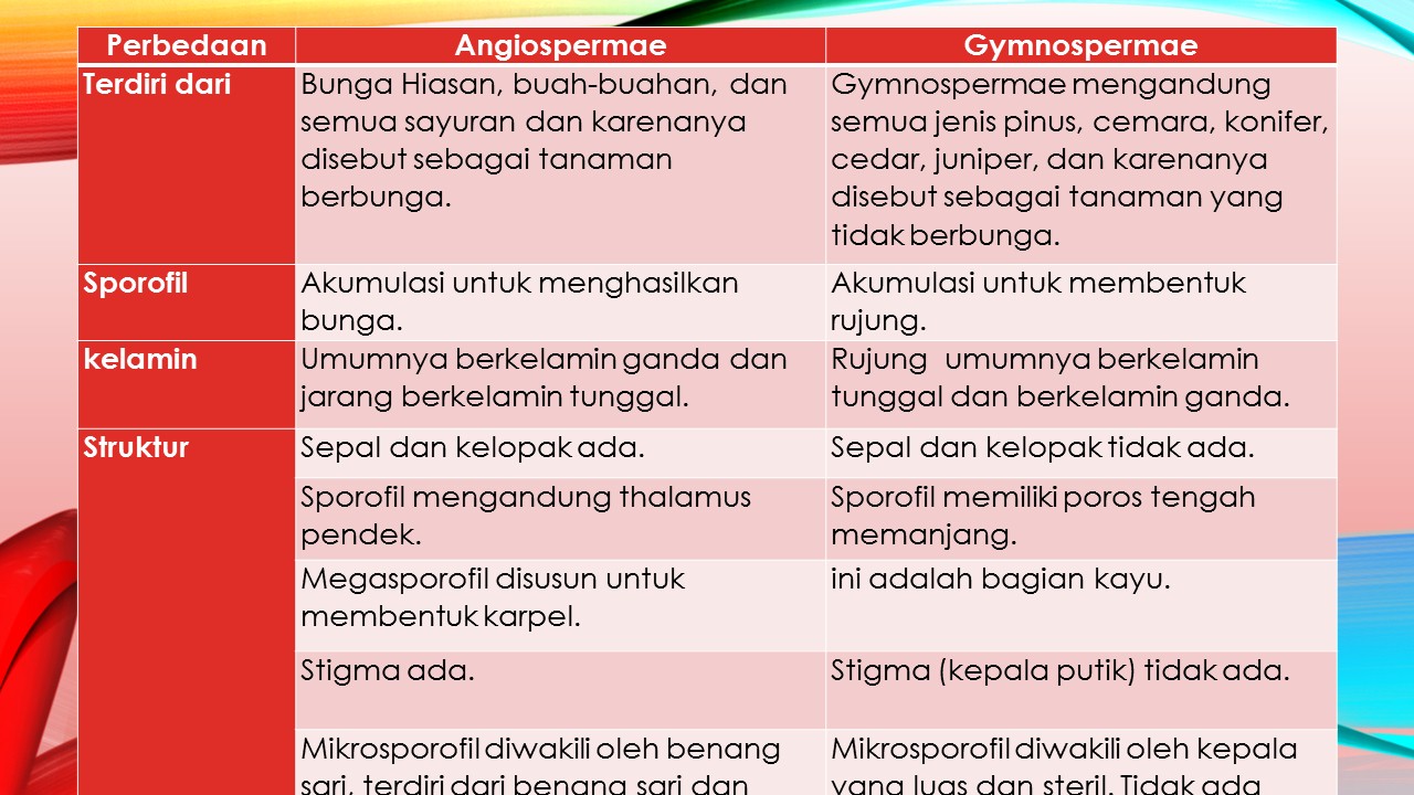 Detail Contoh Tumbuhan Angiospermae Dan Gymnospermae Nomer 49