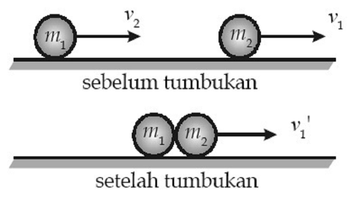 Detail Contoh Tumbukan Dalam Kehidupan Sehari Hari Nomer 24