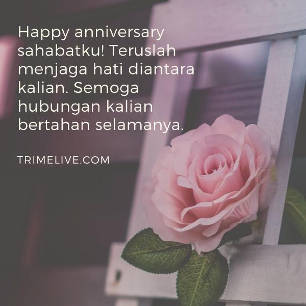 Detail Contoh Ucapan Happy Anniversary Nomer 41