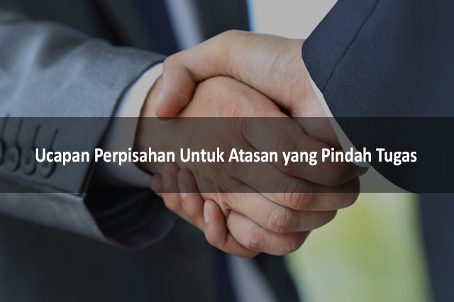 Detail Contoh Ucapan Terima Kasih Untuk Atasan Nomer 15