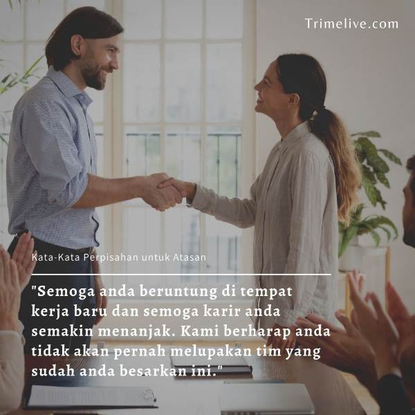 Detail Contoh Ucapan Terima Kasih Untuk Atasan Nomer 4