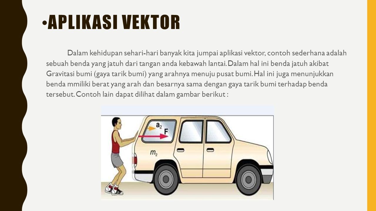 Detail Contoh Vektor Dalam Kehidupan Sehari Hari Nomer 23