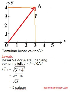 Detail Contoh Vektor Satuan Nomer 12