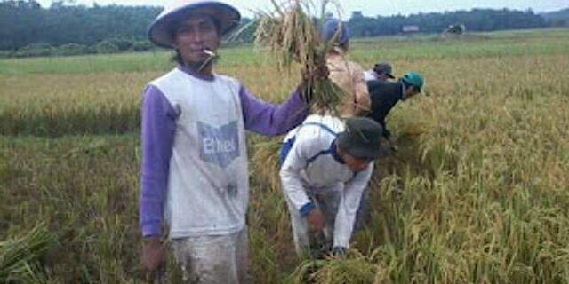 Detail Contoh Wawancara Dengan Petani Nomer 15