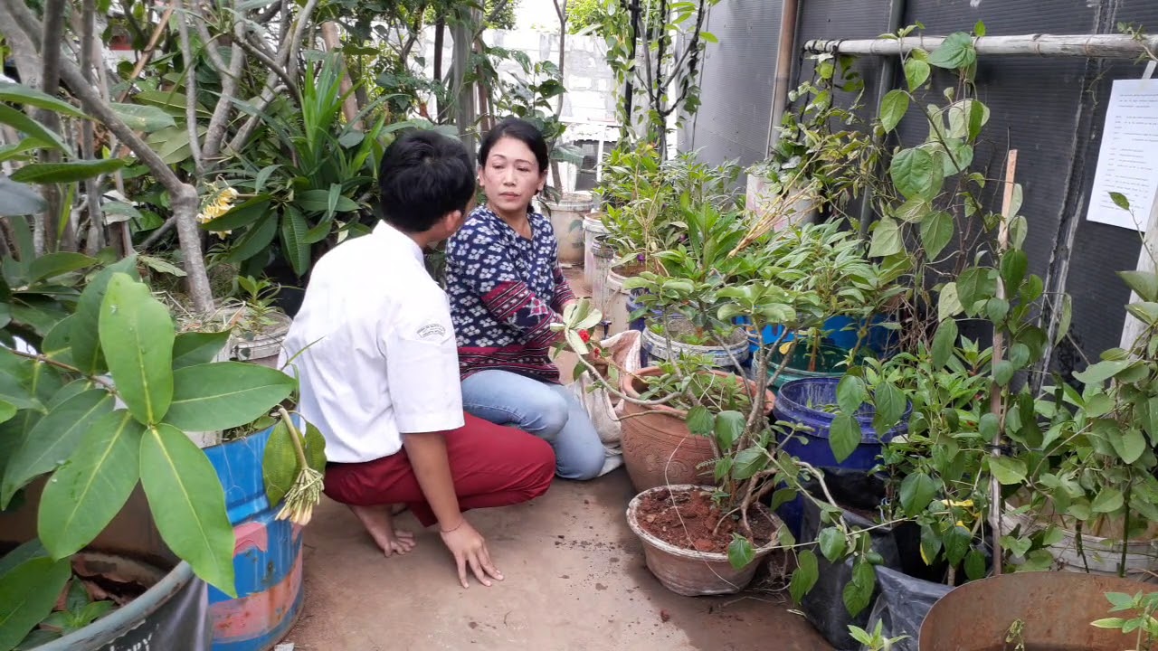 Detail Contoh Wawancara Dengan Petani Nomer 34
