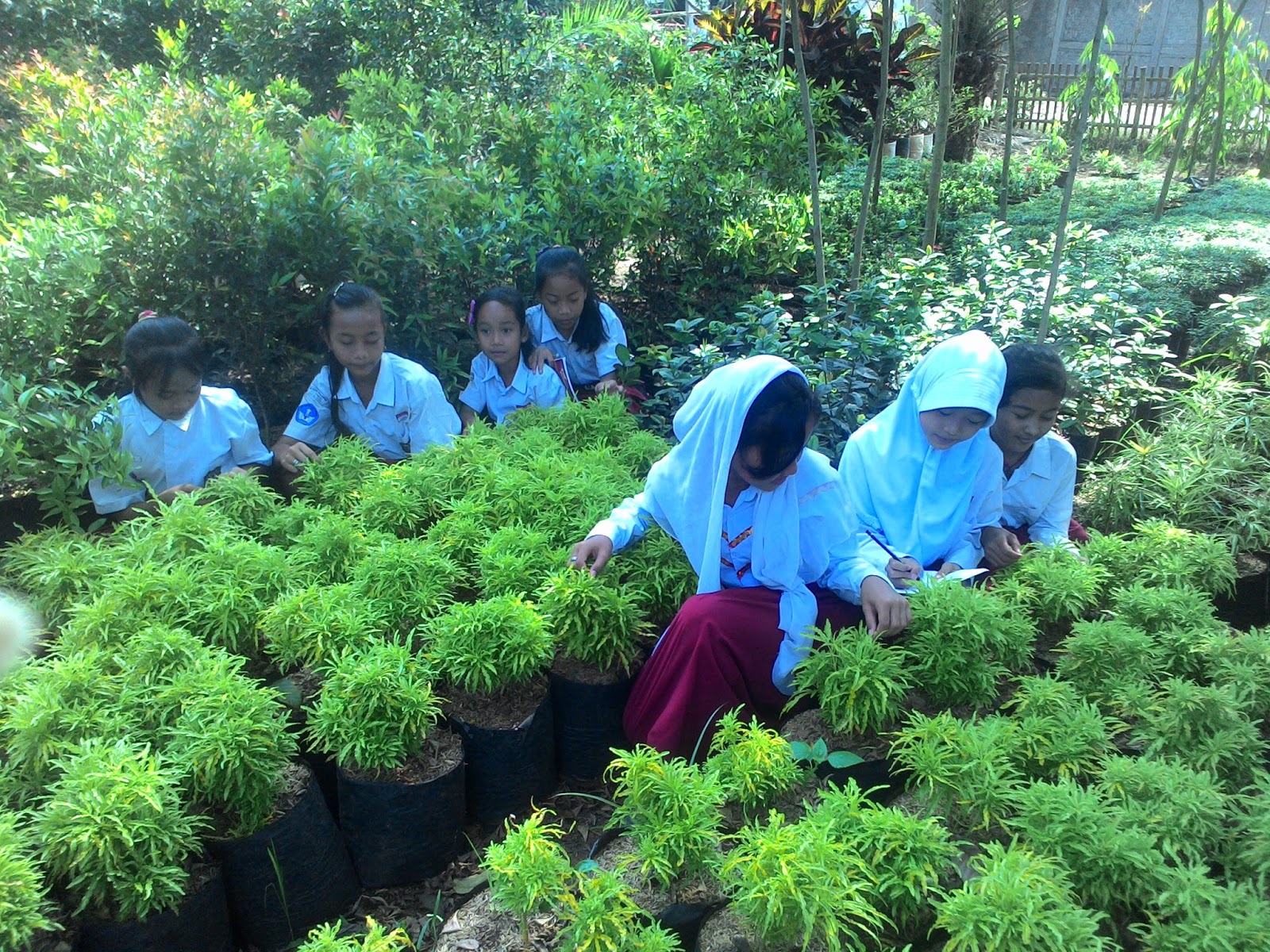 Detail Contoh Wawancara Dengan Petani Nomer 40