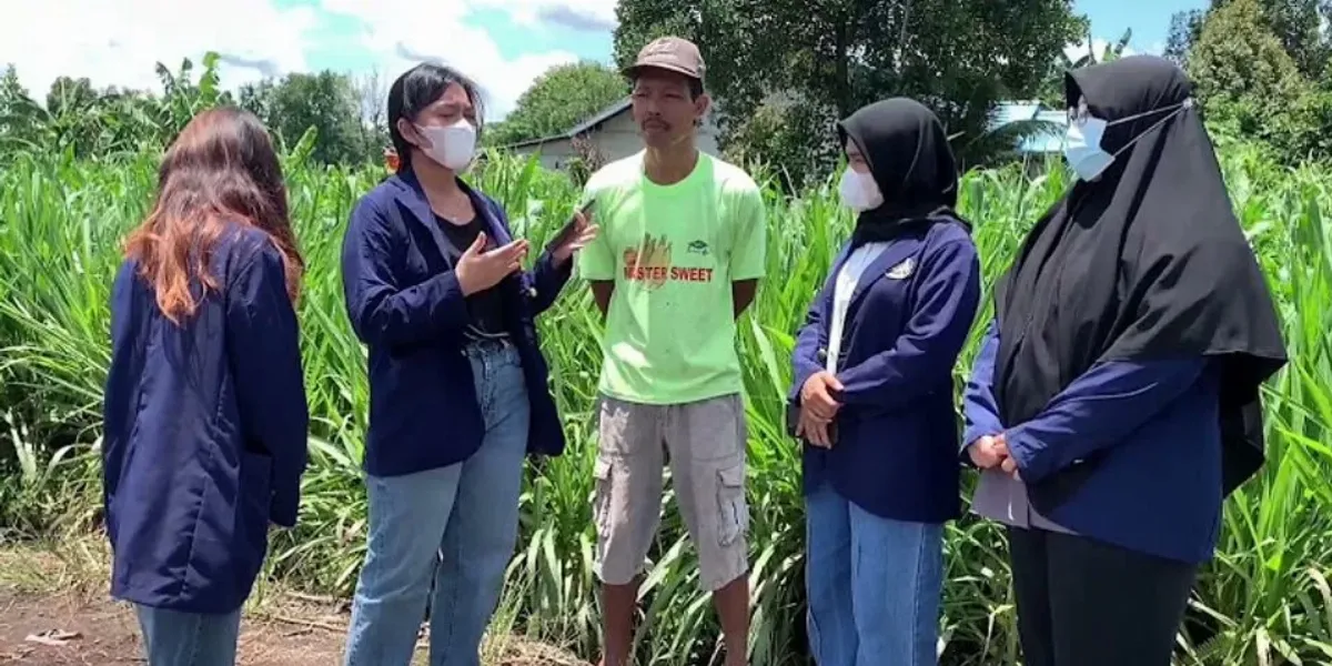 Detail Contoh Wawancara Dengan Petani Sayuran Nomer 17