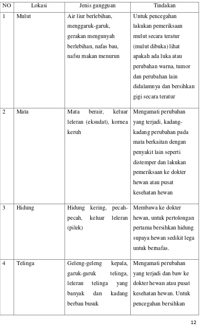 Detail Contoh Wawancara Tentang Hewan Nomer 14