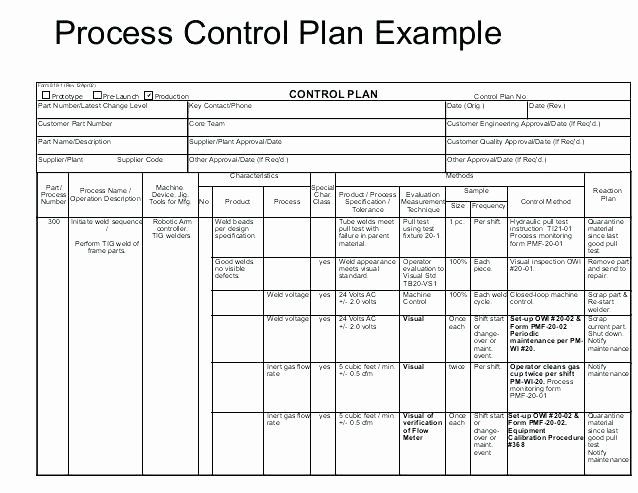 Detail Control Plan Template Nomer 14