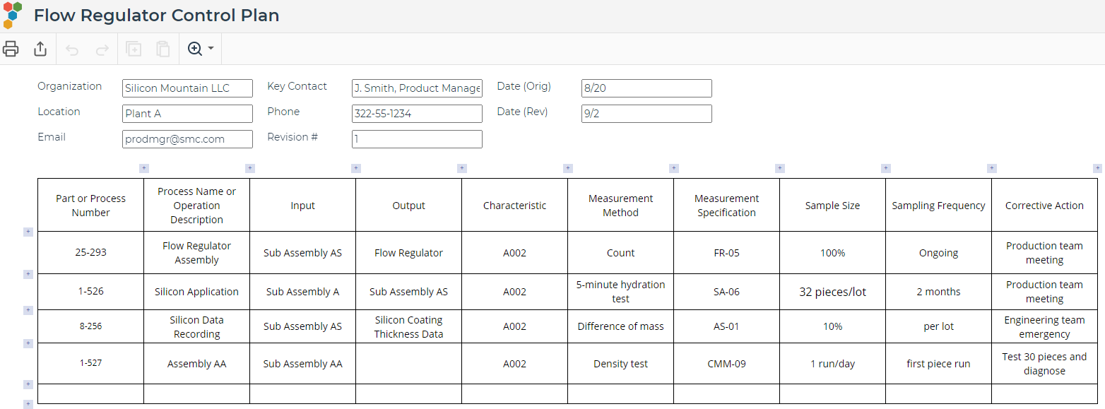 Detail Control Plan Template Nomer 48