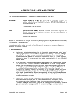 Detail Convertible Note Template Nomer 5