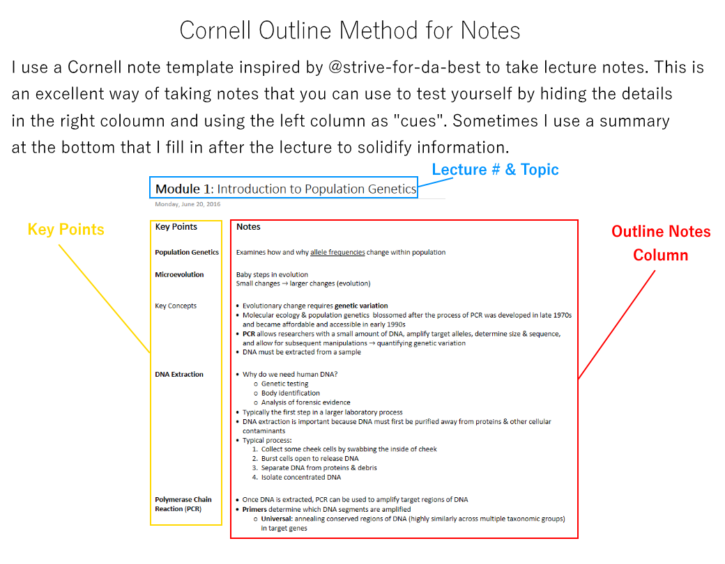 Detail Cornell Notes Template For Onenote Nomer 20