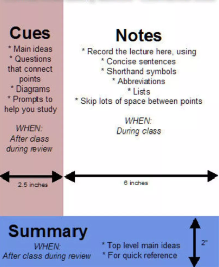 Detail Cornell Notes Template For Onenote Nomer 7