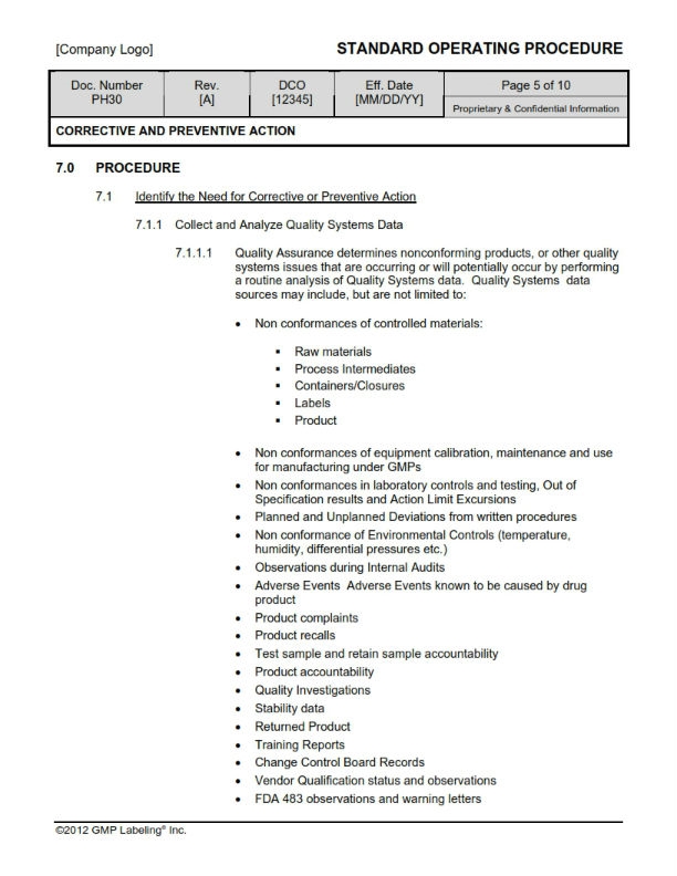Detail Corrective And Preventive Action Template Nomer 35