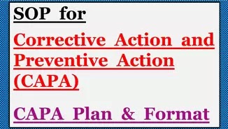 Detail Corrective And Preventive Action Template Nomer 42