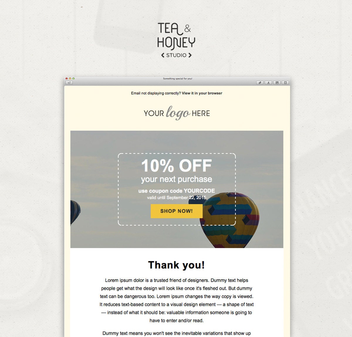 Detail Coupon Code Email Template Nomer 9