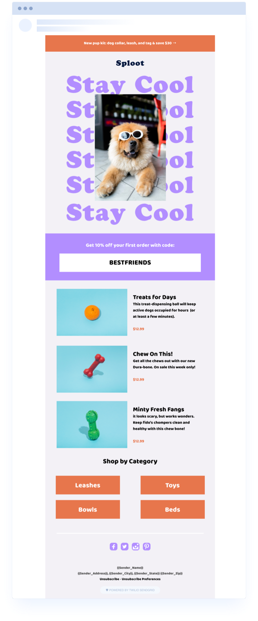 Detail Coupon Code Email Template Nomer 3