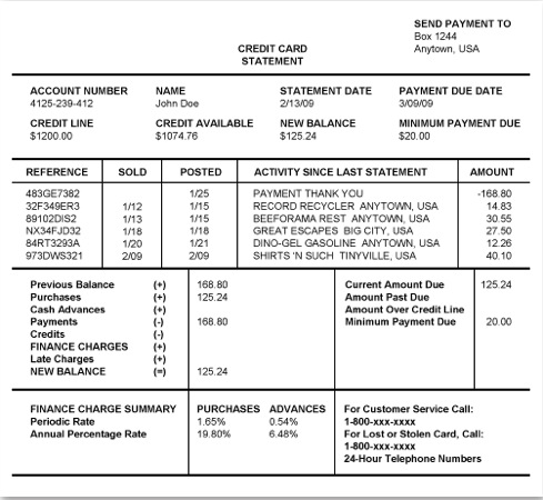 Detail Credit Card Statement Template Word Nomer 13