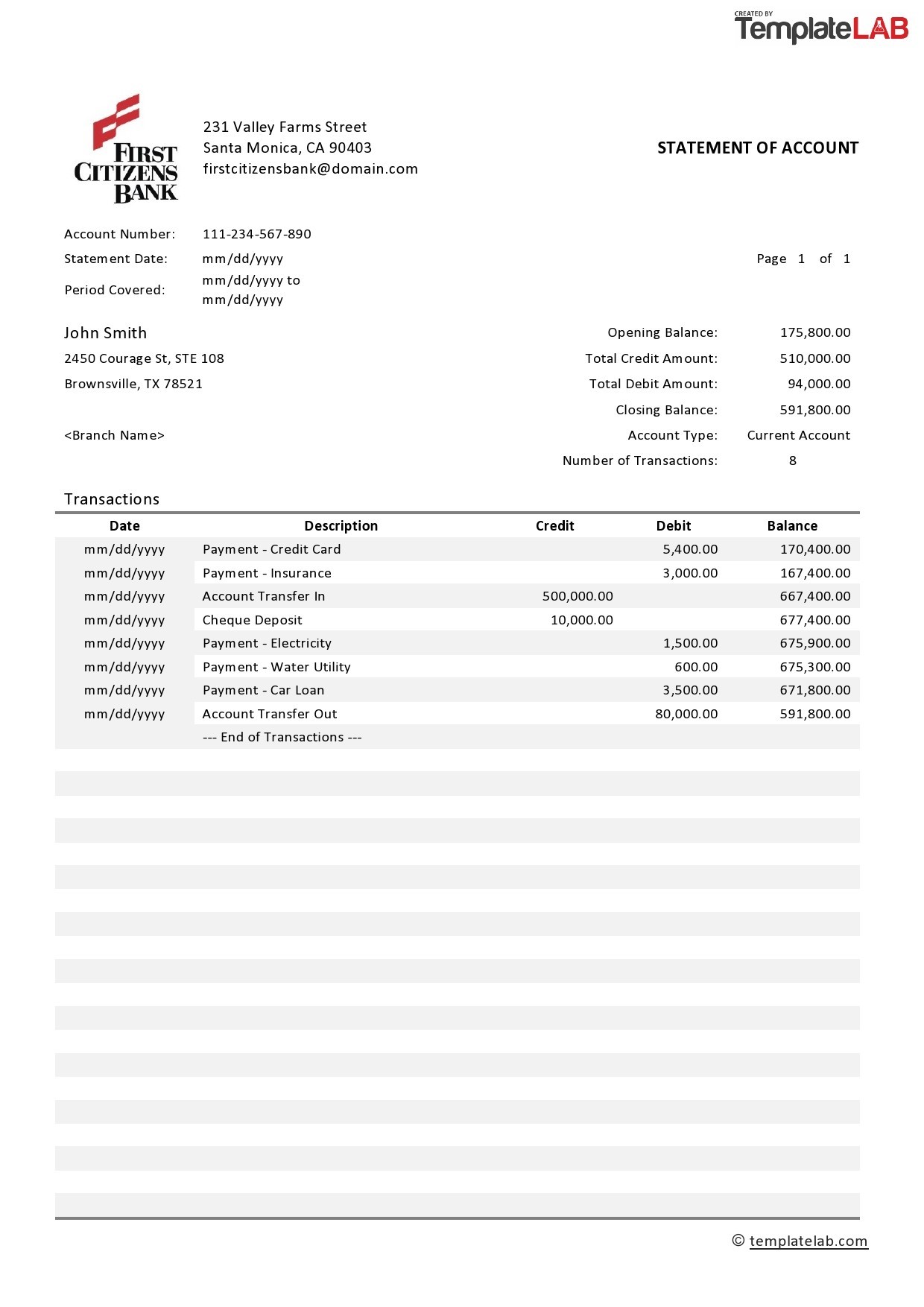 Detail Credit Card Statement Template Word Nomer 4