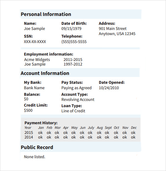 Detail Credit Score Template Nomer 14