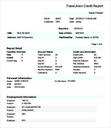 Detail Credit Score Template Nomer 17