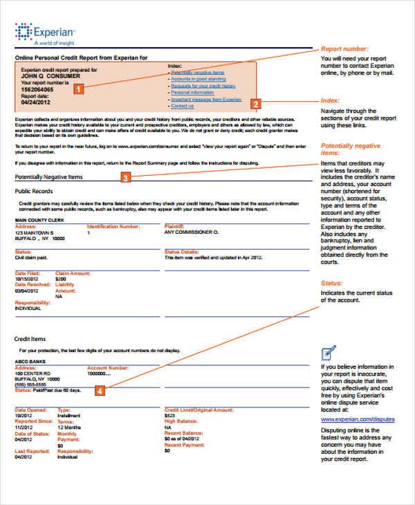 Detail Credit Score Template Nomer 36