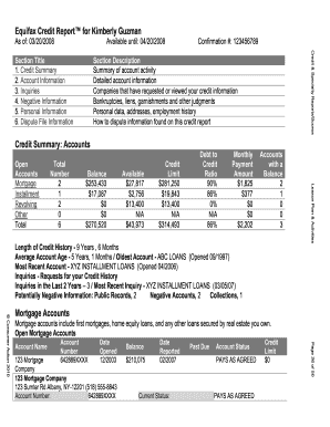 Detail Credit Score Template Nomer 6