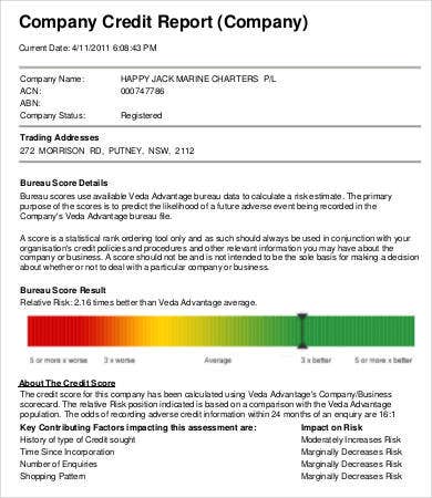 Detail Credit Score Template Nomer 7