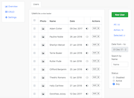 Detail Crud Bootstrap Template Nomer 3