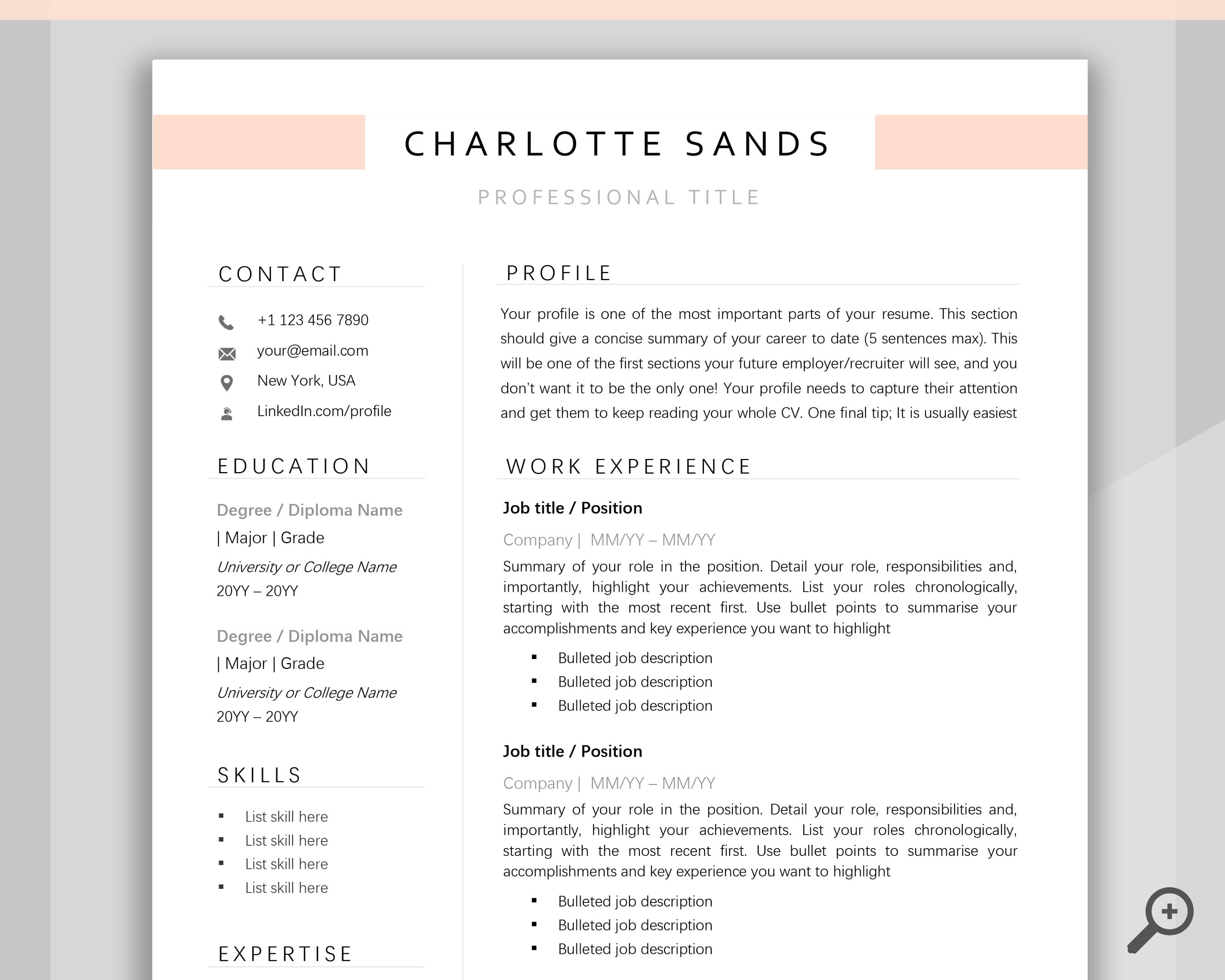Detail Curriculum Vitae Template Nomer 22