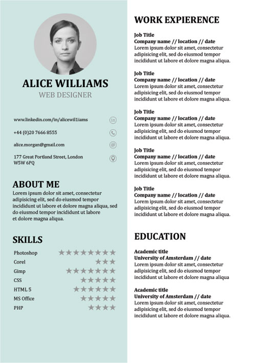 Detail Curriculum Vitae Template Doc Nomer 44