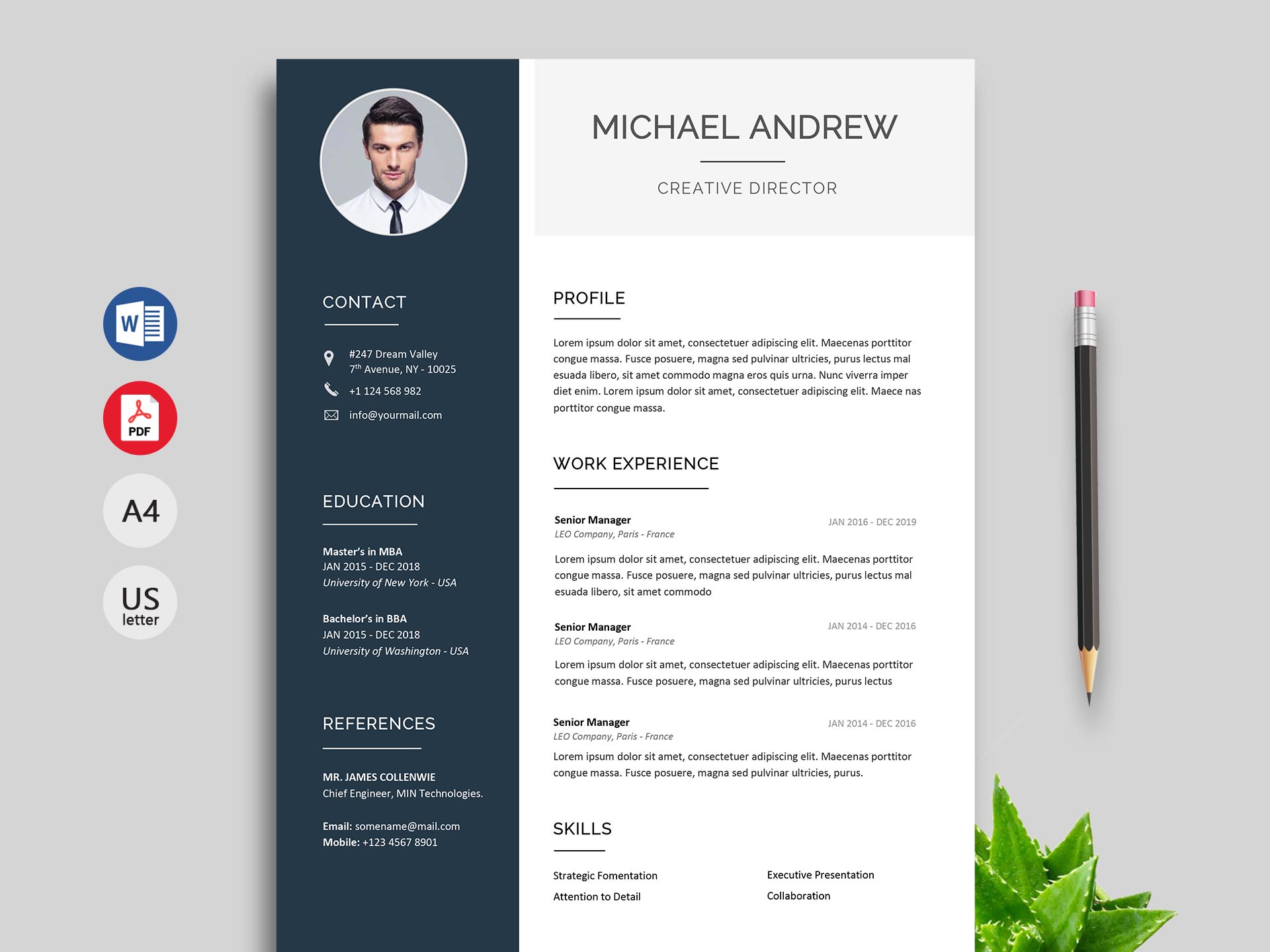 Detail Curriculum Vitae Template Download Nomer 15