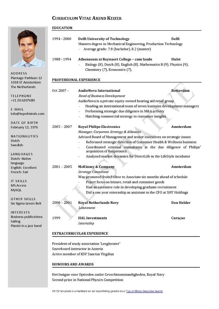 Detail Curriculum Vitae Template Download Nomer 19